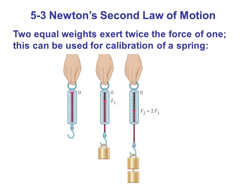 5-3 Newton’s Second Law of Motion Two equal weights exert twice the force of one; this can be used for calibration of a spring:
