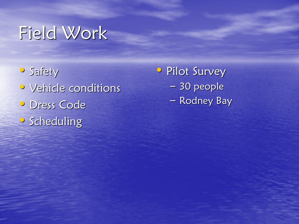 Field Work Safety Safety Vehicle conditions Vehicle conditions Dress Code Dress Code Scheduling Scheduling Pilot Survey Pilot Survey – 30 people – Rodney Bay