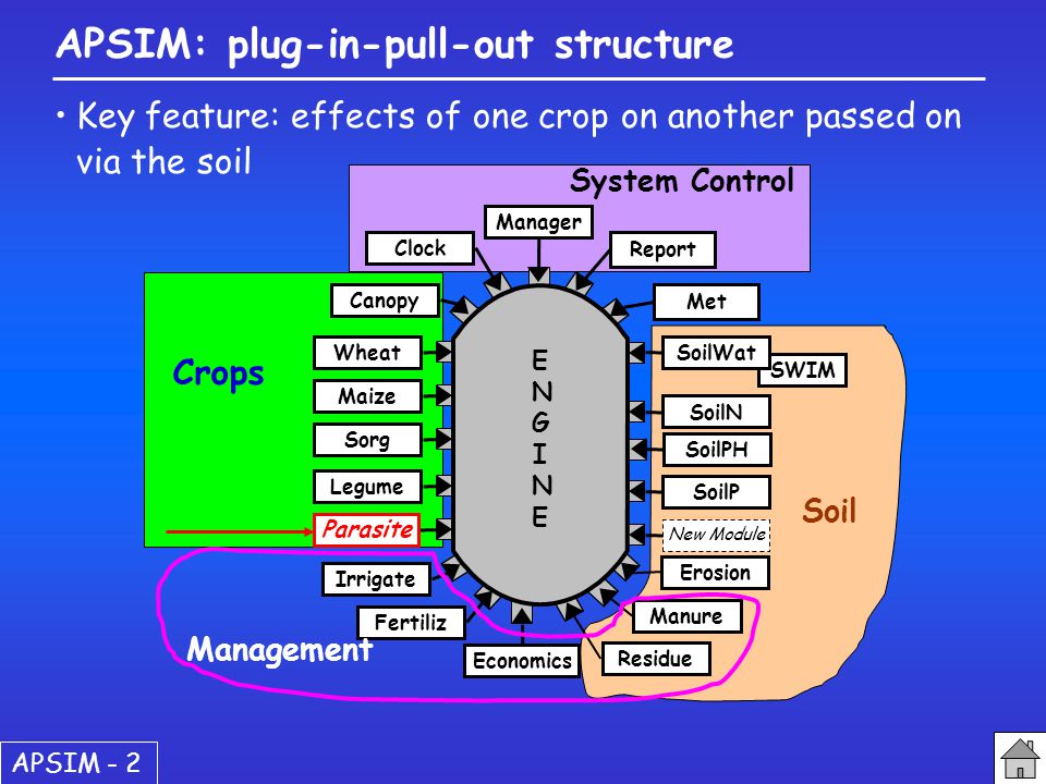 Using Apsim To Simulate Crop Parasitic Weed Interactions - 