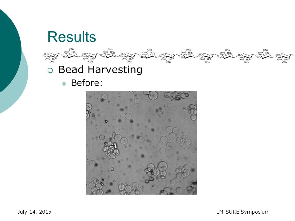 July 14, 2015IM-SURE Symposium Results  Bead Harvesting Before:
