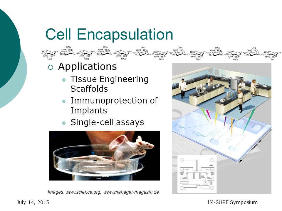 July 14, 2015IM-SURE Symposium  Applications Tissue Engineering Scaffolds Immunoprotection of Implants Single-cell assays Cell Encapsulation Images: