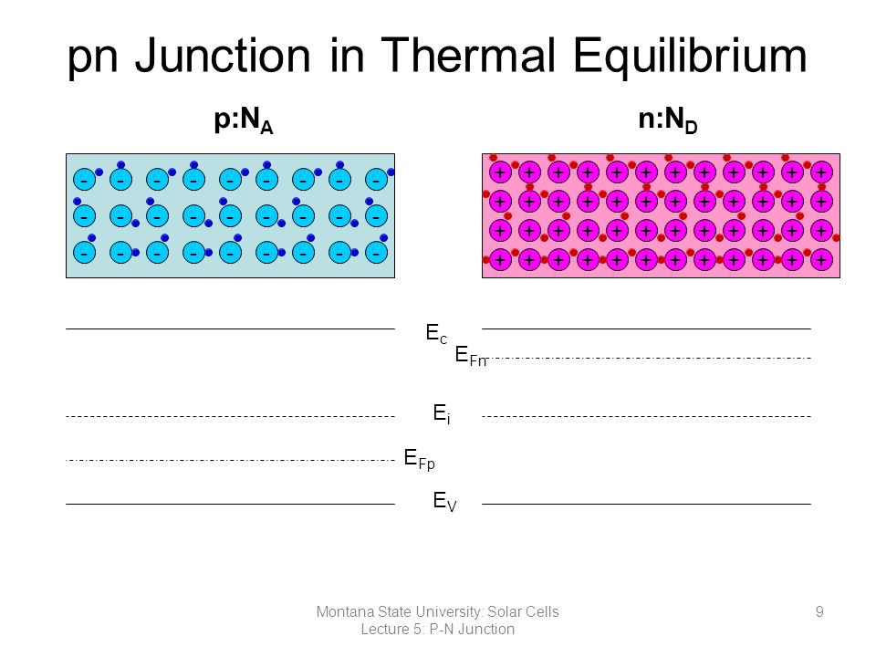 pn Junction in Thermal Equilibrium p:N A n:N D EcEc EVEV EiEi E Fp E Fn Montana State University: Solar Cells Lecture 5: P-N Junction