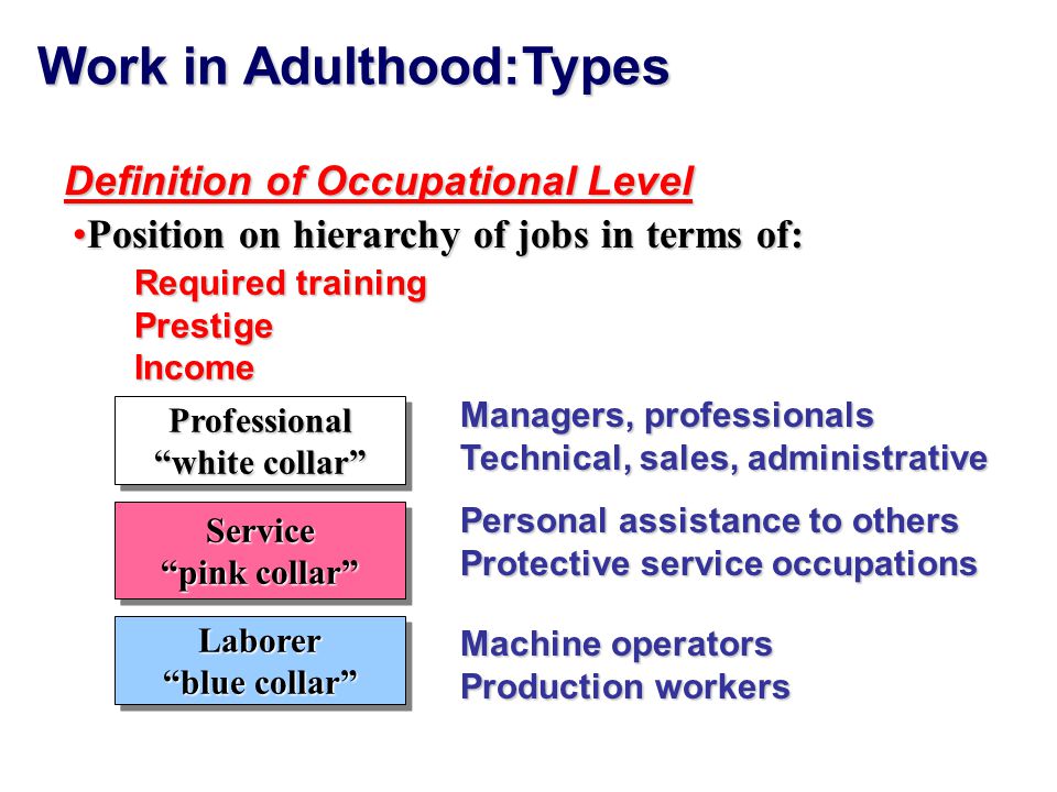 Overview-Lecture 10 Working Life Types Choices and Satisfaction Older Worker  Productivity Retirement Myth Busting: Facts on Aging Revisited. - ppt  download