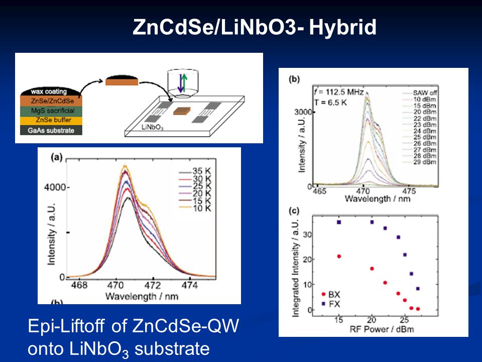 ZnCdSe/LiNbO3- Hybrid Epi-Liftoff of ZnCdSe-QW onto LiNbO 3 substrate