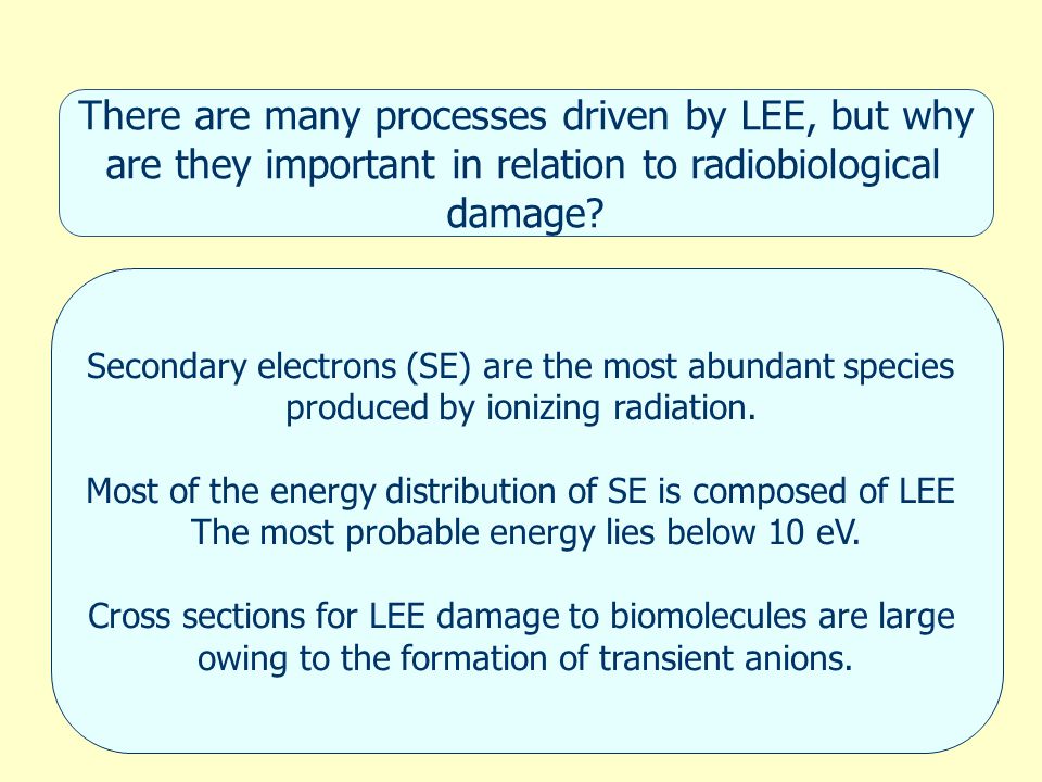 Secondary electrons (SE) are the most abundant species produced by ionizing radiation.