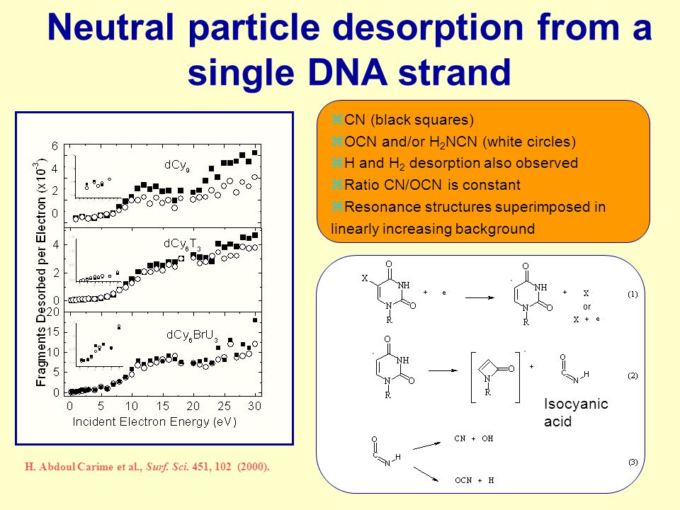 Neutral particle desorption from a single DNA strand zCN (black squares) zOCN and/or H 2 NCN (white circles) zH and H 2 desorption also observed zRatio CN/OCN is constant zResonance structures superimposed in linearly increasing background H.