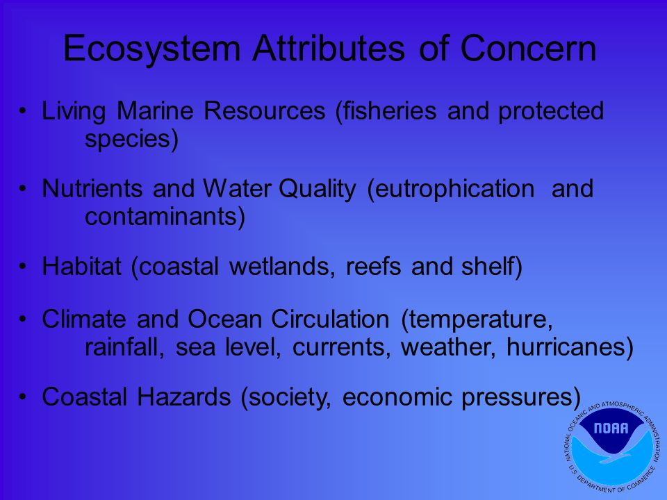Ecosystem Attributes of Concern Living Marine Resources (fisheries and protected species) Nutrients and Water Quality (eutrophication and contaminants) Habitat (coastal wetlands, reefs and shelf) Climate and Ocean Circulation (temperature, rainfall, sea level, currents, weather, hurricanes) Coastal Hazards (society, economic pressures)