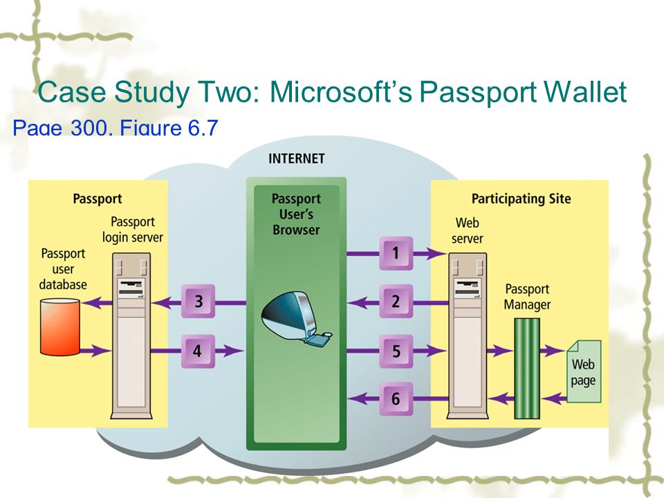 Case Study Two: Microsoft’s Passport Wallet Page 300, Figure 6.7