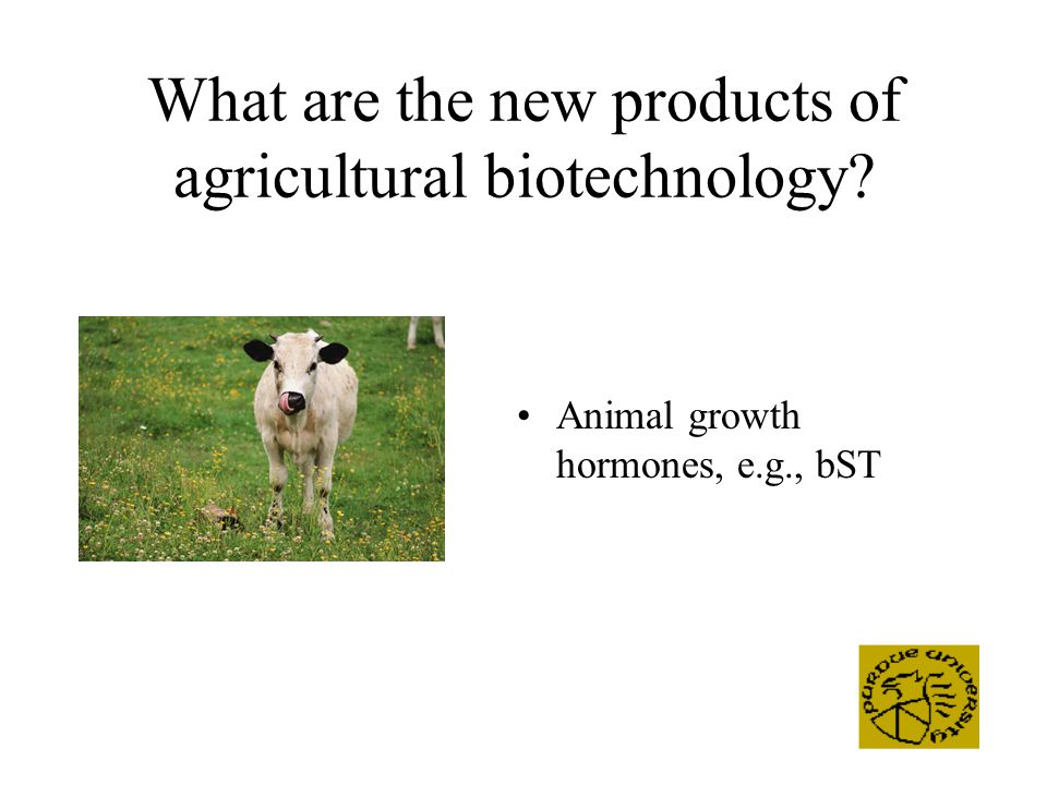 What are the new products of agricultural biotechnology Animal growth hormones, e.g., bST