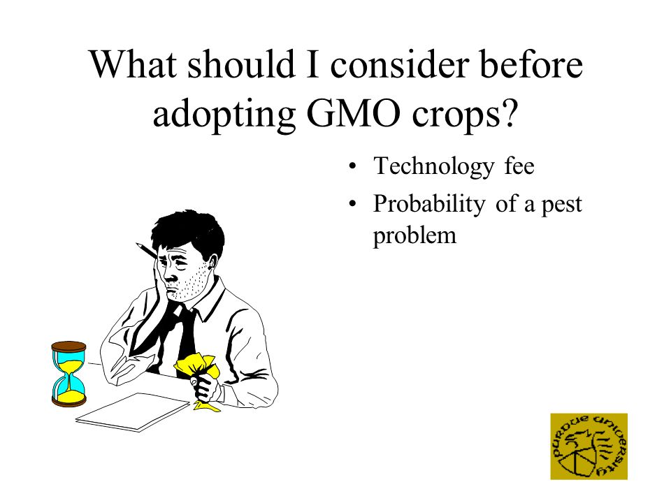 What should I consider before adopting GMO crops Technology fee Probability of a pest problem