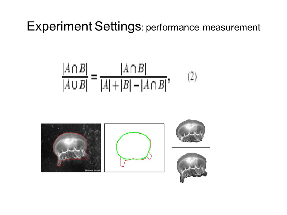 Experiment Settings : performance measurement