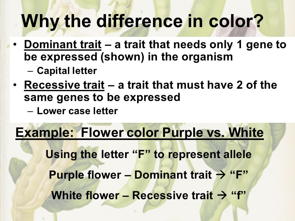 Why the difference in color.
