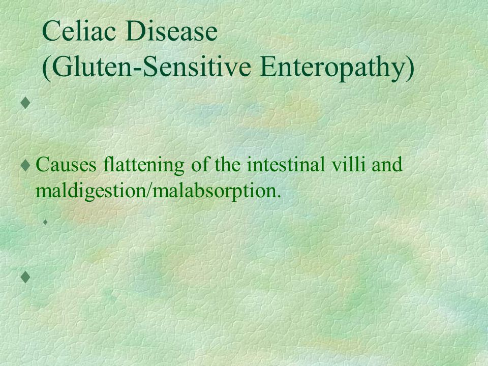 Celiac Disease (Gluten-Sensitive Enteropathy)   Causes flattening of the intestinal villi and maldigestion/malabsorption.