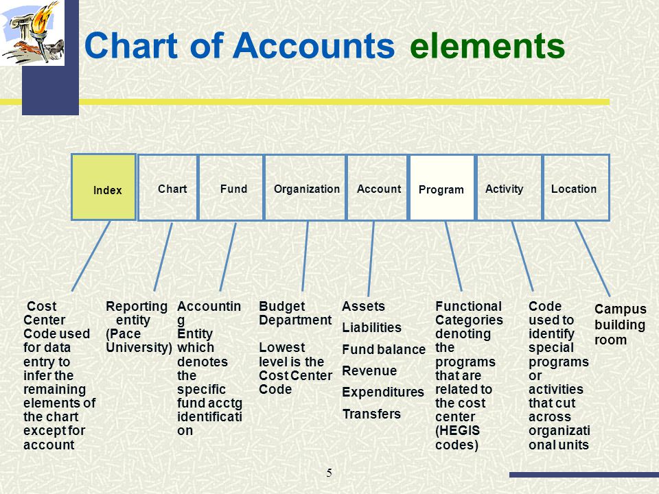 Elements Of Chart Of Accounts