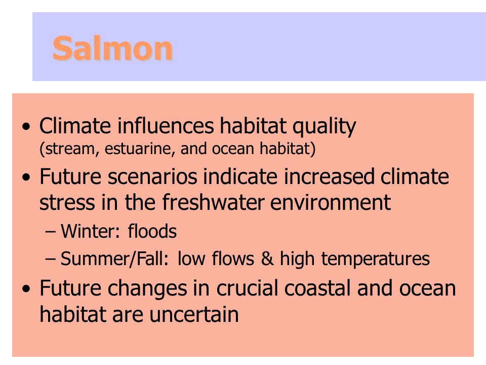 Salmon Climate influences habitat quality (stream, estuarine, and ocean habitat) Future scenarios indicate increased climate stress in the freshwater environment –Winter: floods –Summer/Fall: low flows & high temperatures Future changes in crucial coastal and ocean habitat are uncertain