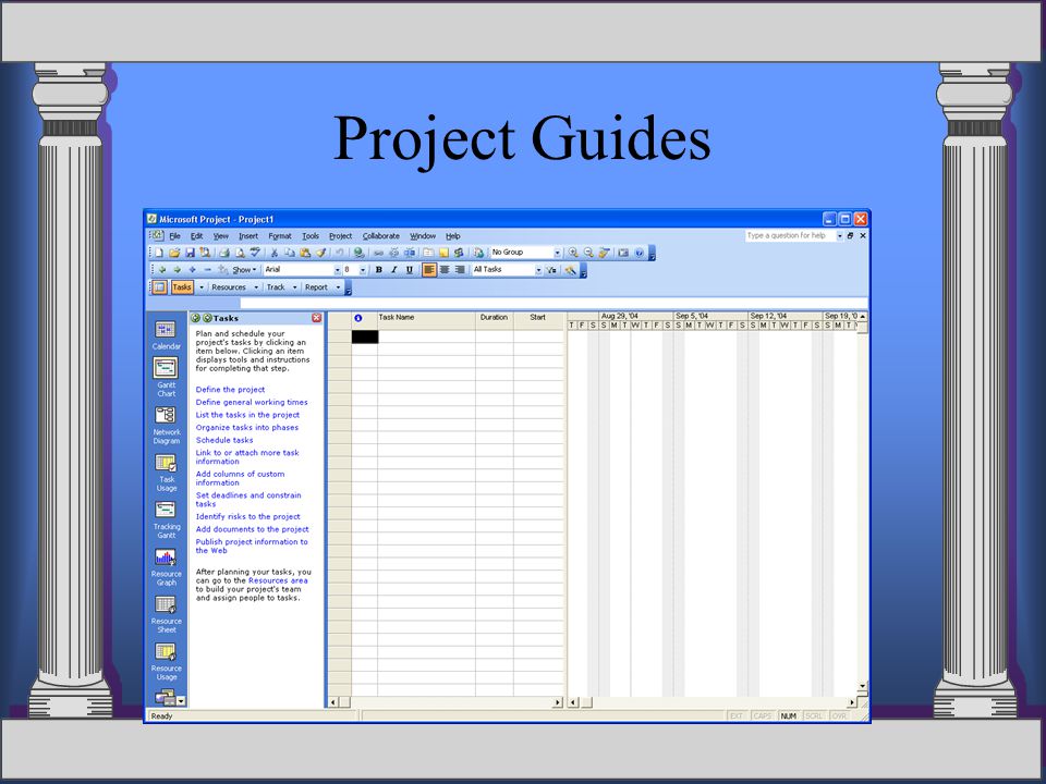 Project Guides