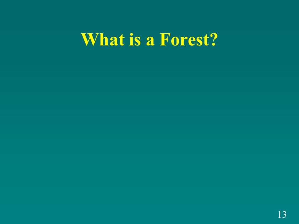 What is a Forest 13