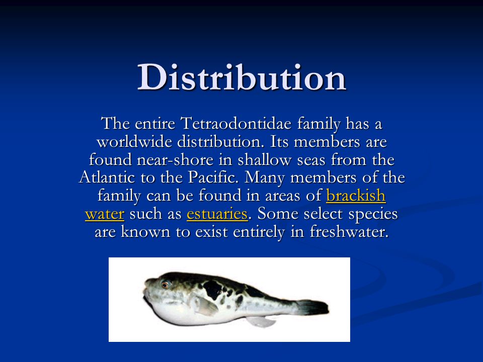 Tetrodotoxin produced by Pufferfish By Charles Brown. - ppt download