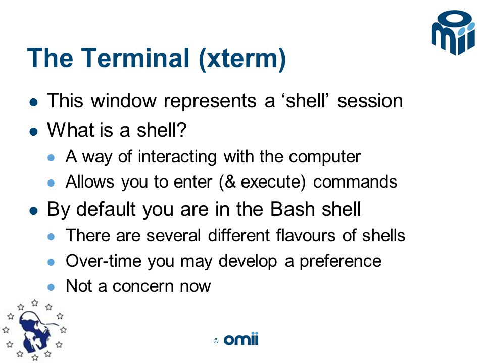 © The Terminal (xterm) This window represents a ‘shell’ session What is a shell.