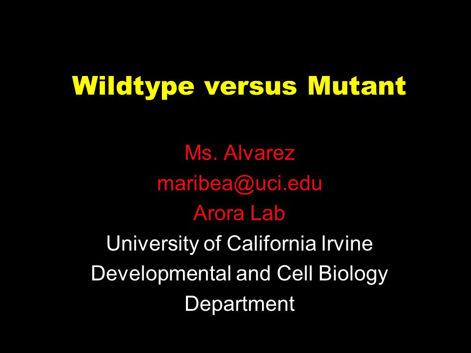 Wildtype versus Mutant Ms.
