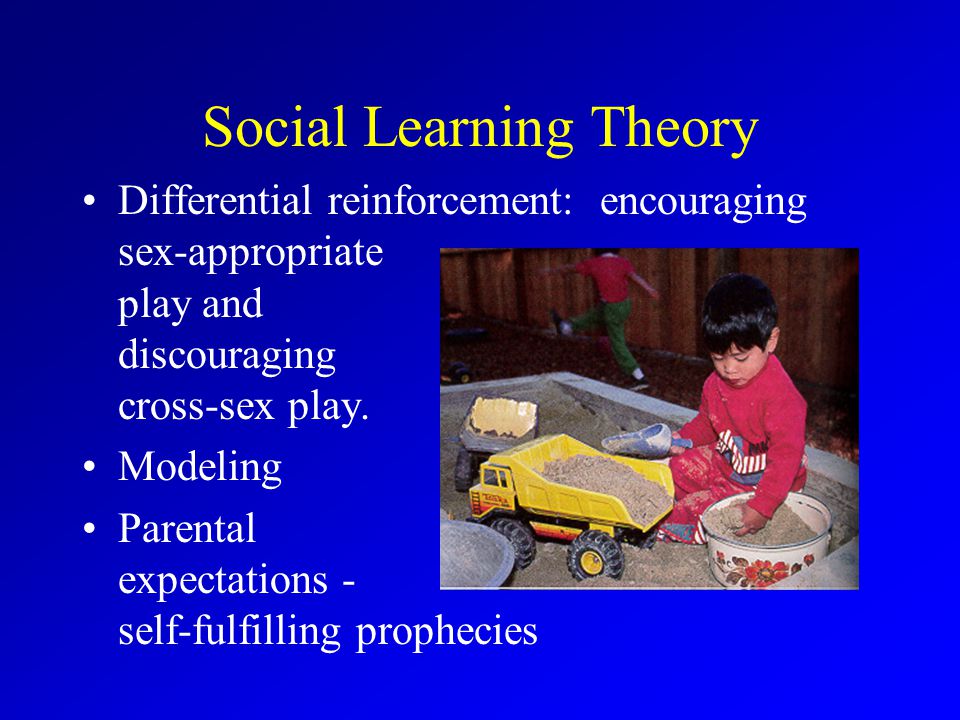 Social Learning Theory Differential reinforcement: encouraging sex-appropriate play and discouraging cross-sex play.