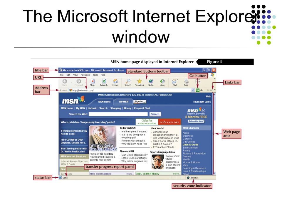 The Microsoft Internet Explorer window