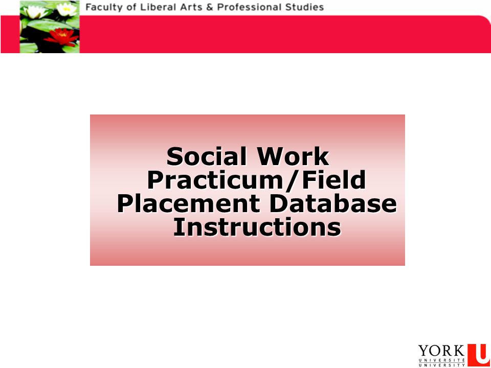 Social Work Practicum/Field Placement Database Instructions