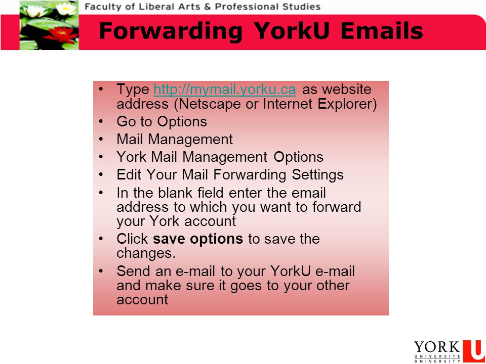 Type   as website address (Netscape or Internet Explorer)  Go to Options Mail Management York Mail Management Options Edit Your Mail Forwarding Settings In the blank field enter the  address to which you want to forward your York account Click save options to save the changes.