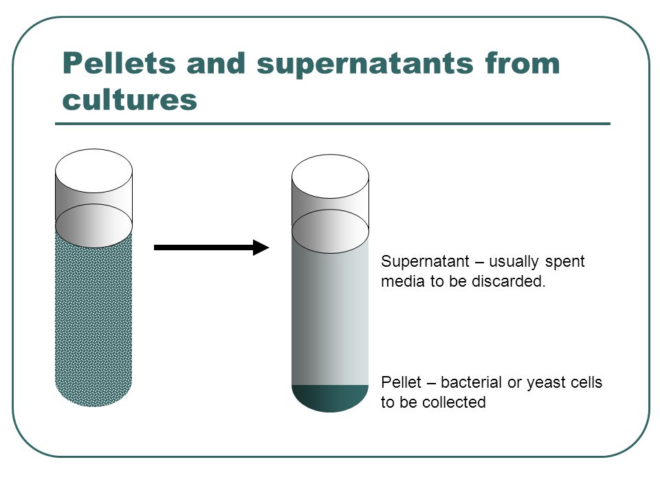 Filtering and Centrifugation Physical Separation of Solids from Liquids. -  ppt download