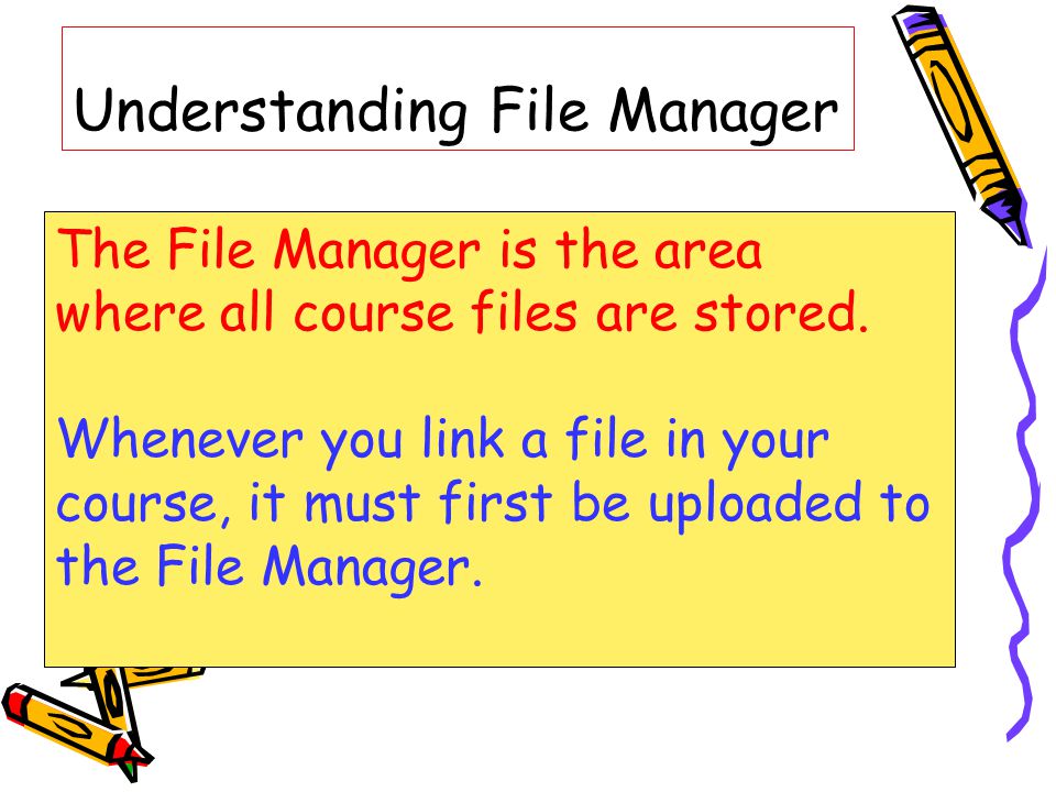 Understanding File Manager The File Manager is the area where all course files are stored.