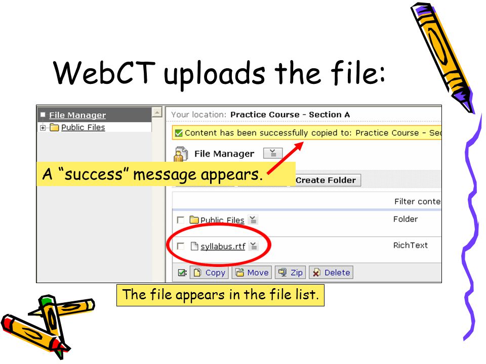 WebCT uploads the file: A success message appears. The file appears in the file list.