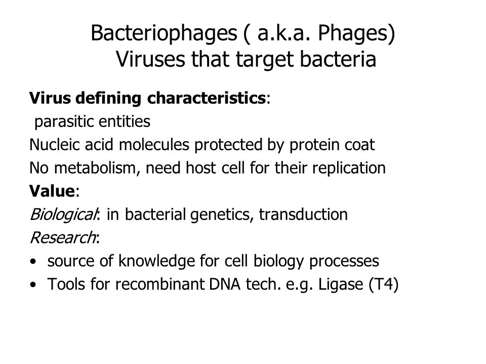 Bacteriophages ( a.k.a.