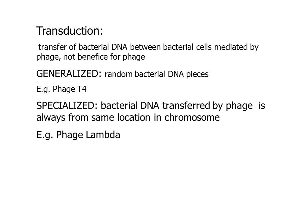 Transduction: transfer of bacterial DNA between bacterial cells mediated by phage, not benefice for phage GENERALIZED: random bacterial DNA pieces E.g.