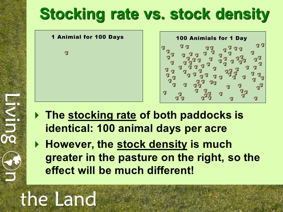 Stocking rate vs.