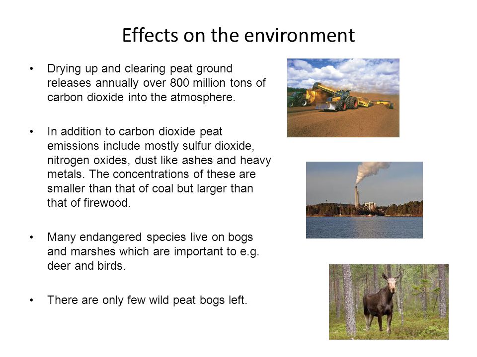 Effects on the environment Drying up and clearing peat ground releases annually over 800 million tons of carbon dioxide into the atmosphere.