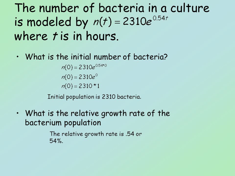 What is the initial number of bacteria.