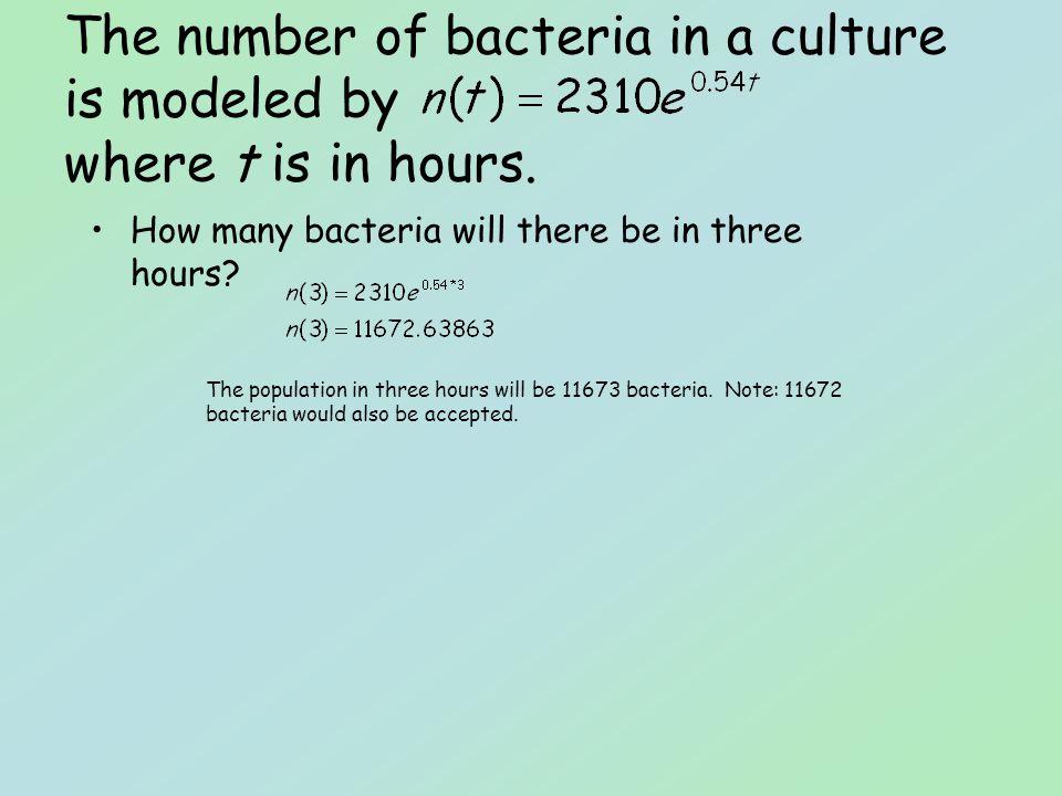 How many bacteria will there be in three hours.
