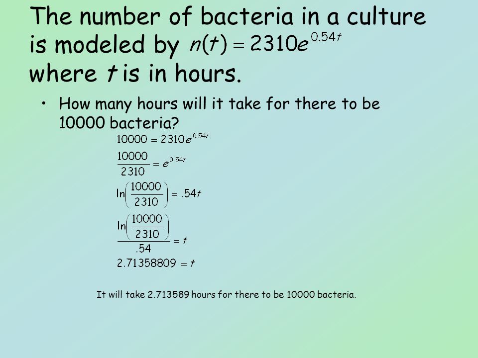 How many hours will it take for there to be bacteria.
