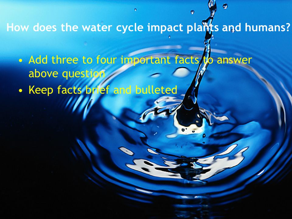 How does the water cycle impact plants and humans.