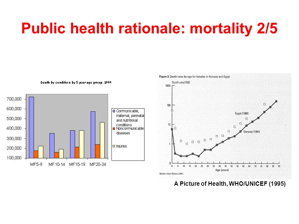 A Picture of Health, WHO/UNICEF (1995) Public health rationale: mortality 2/5