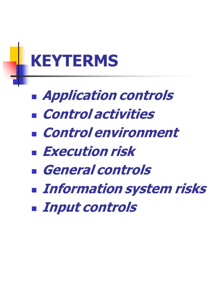 KEYTERMS Application controls Control activities Control environment Execution risk General controls Information system risks Input controls
