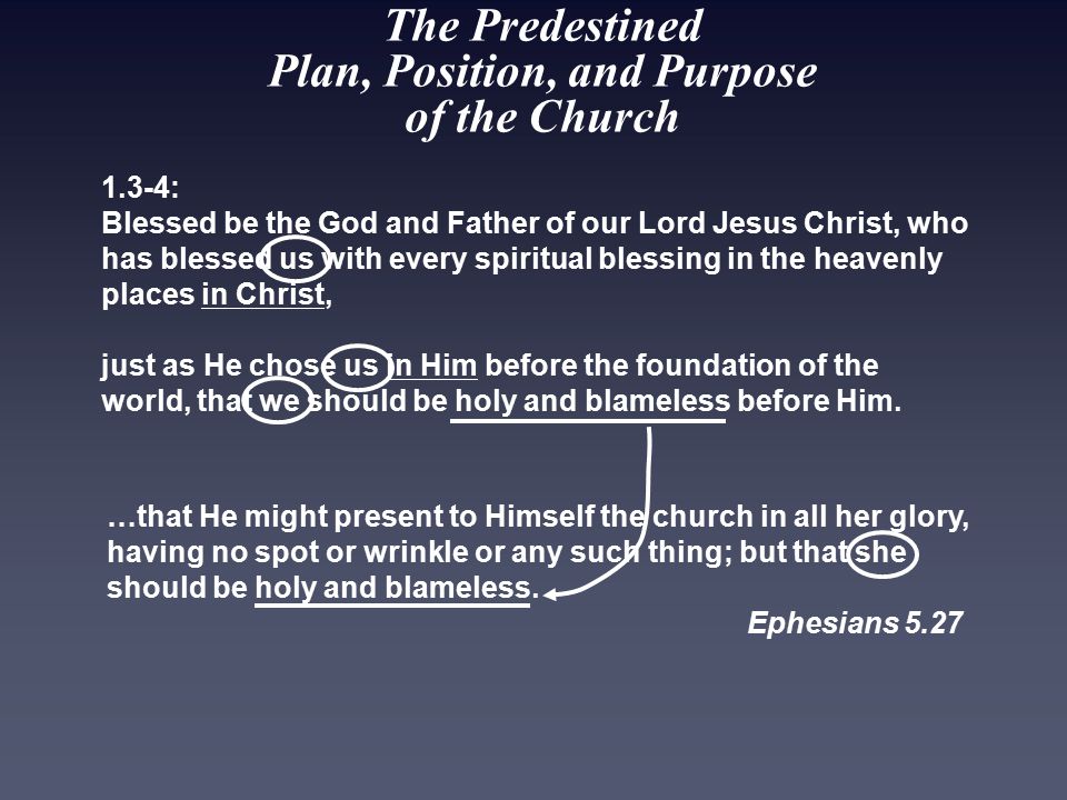 The Predestined Plan, Position, and Purpose of the Church 1.3-4: Blessed be the God and Father of our Lord Jesus Christ, who has blessed us with every spiritual blessing in the heavenly places in Christ, just as He chose us in Him before the foundation of the world, that we should be holy and blameless before Him.