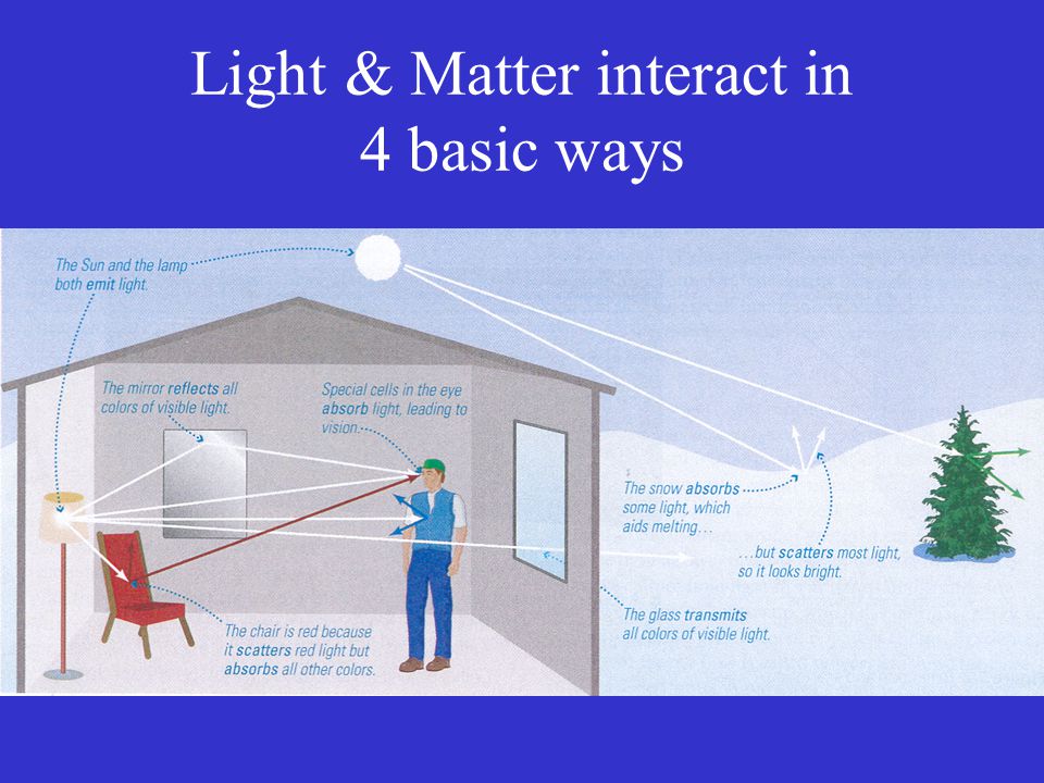 Light & Matter interact in 4 basic ways