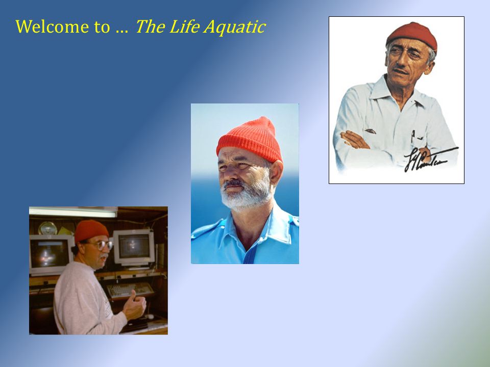 Welcome to … The Life Aquatic