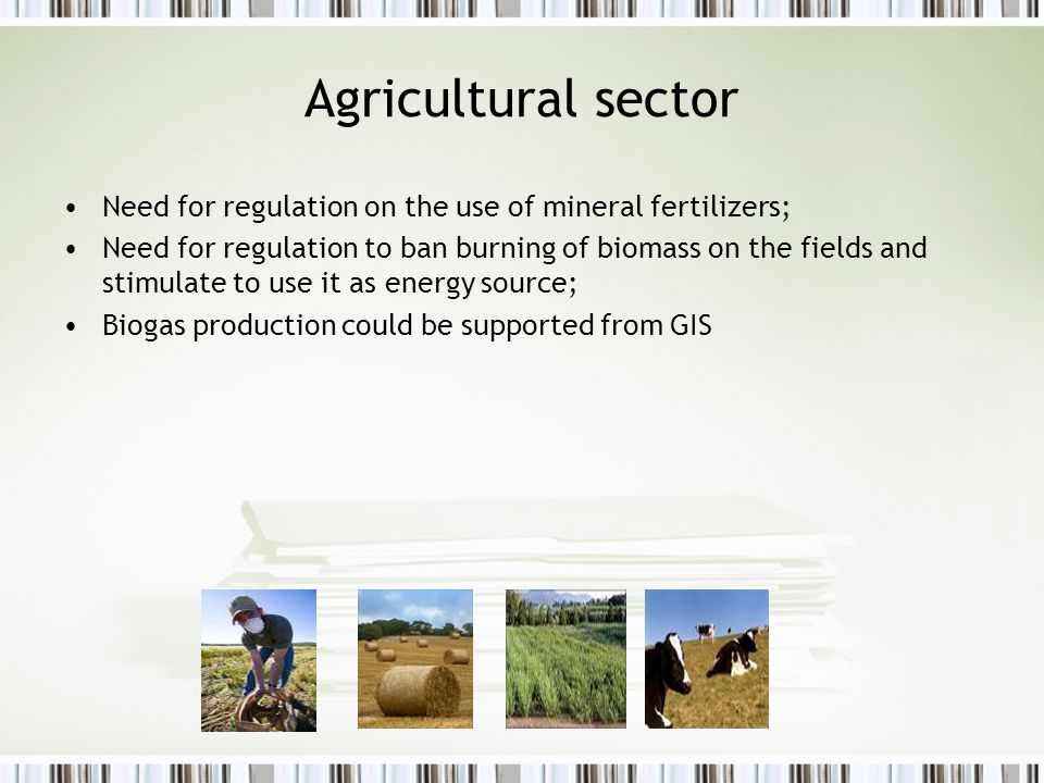 Agricultural sector Need for regulation on the use of mineral fertilizers; Need for regulation to ban burning of biomass on the fields and stimulate to use it as energy source; Biogas production could be supported from GIS