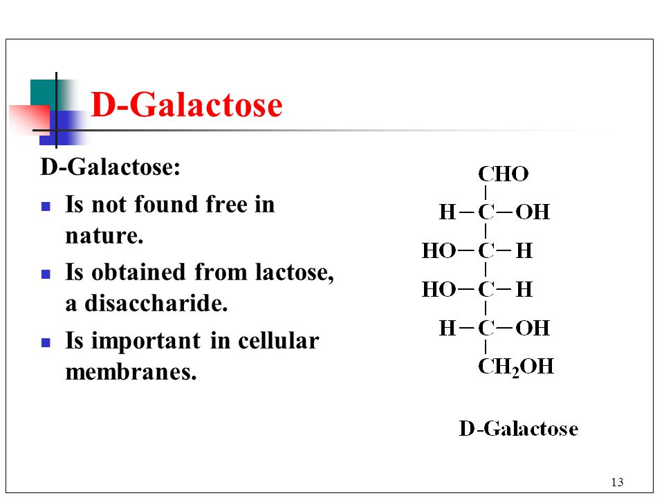 13 D-Galactose D-Galactose: Is not found free in nature.