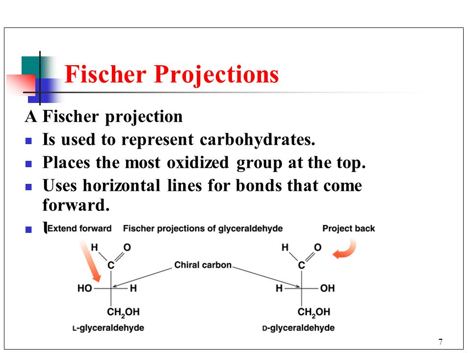 7 Fischer Projections A Fischer projection Is used to represent carbohydrates.