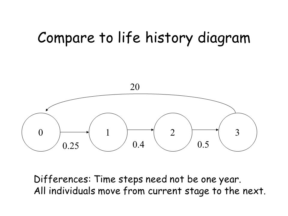 Compare to life history diagram Differences: Time steps need not be one year.