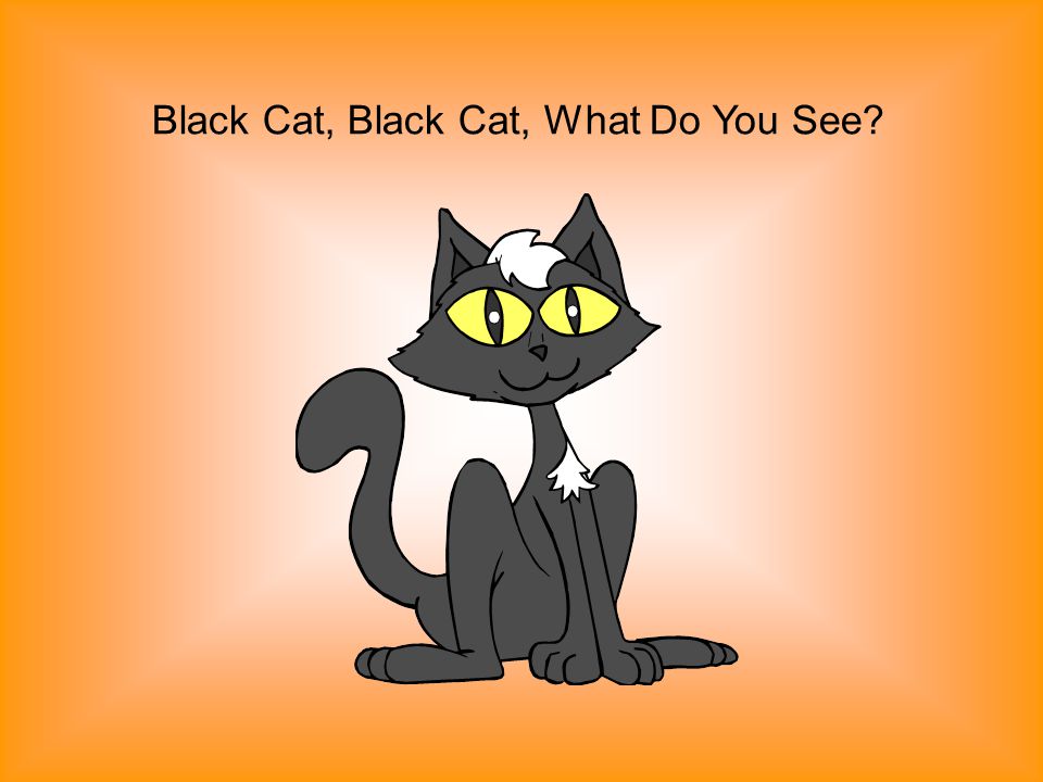Черный кот песня mp3. Черная кошка на удачу. Black Cat тема. Жил черный кот. Черный кот победитель.