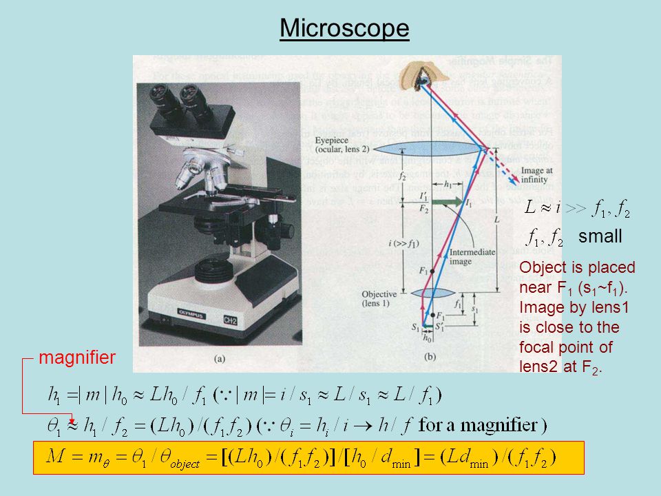 Microscope small Object is placed near F 1 (s 1 ~f 1 ).